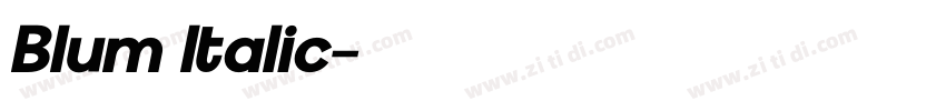Blum Italic字体转换